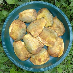 নোনা ইলিশ ফালি ( মাথা লেজ বাদে)