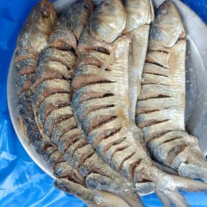 নোনা ইলিশ (আস্ত)