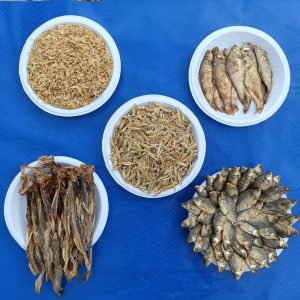 সুপার ৫ শুটকি প্যাকেজ